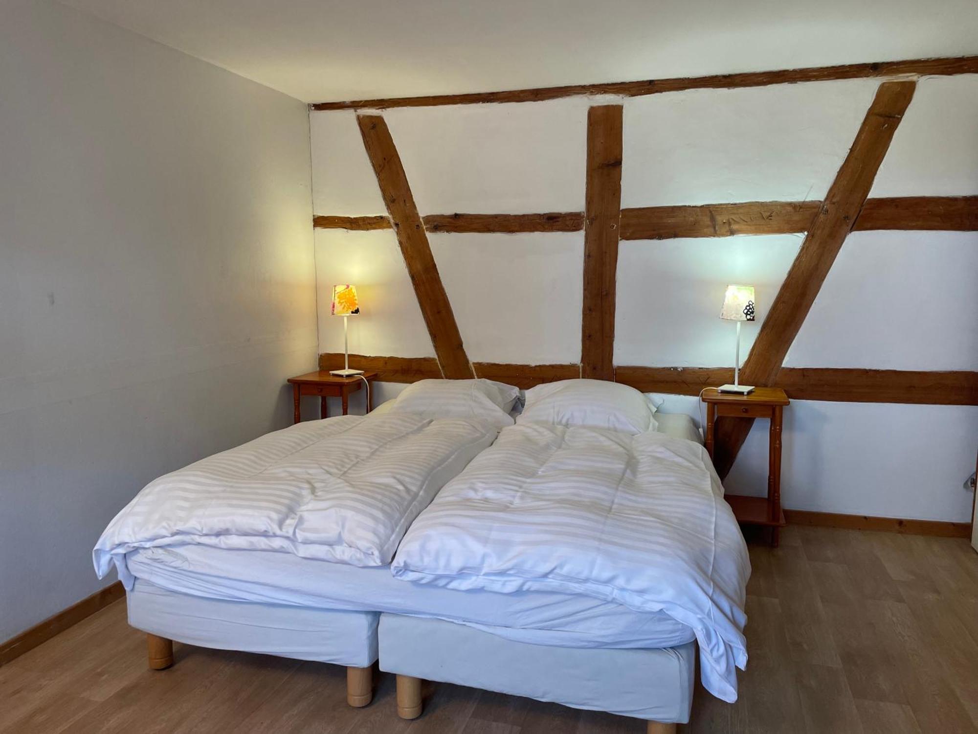 Gite Nicole Proche Du Europa Park Heidolsheim エクステリア 写真